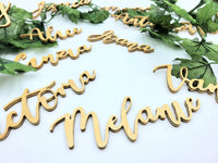 
              Mini Name Cut outs table decor/gift tags
            