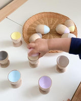
              Colour Sorting Egg Set Wooden
            